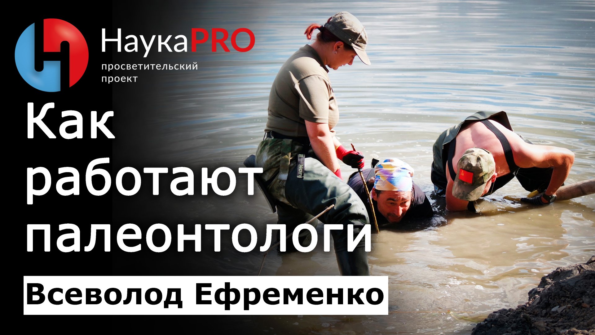 Как работают палеонтологи – Всеволод Ефременко | Лекции по палеонтологии | Научпоп смотреть онлайн