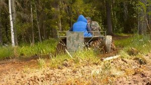 Попытка засадить мини каракат в болоте