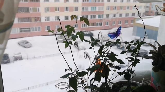 И сново влог смотреть онлайн