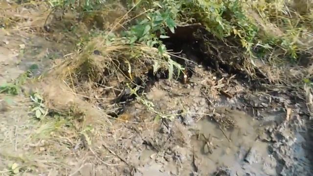 Благоустраиваем Родник! Жизнь в деревне! Твори добро! смотреть онлайн