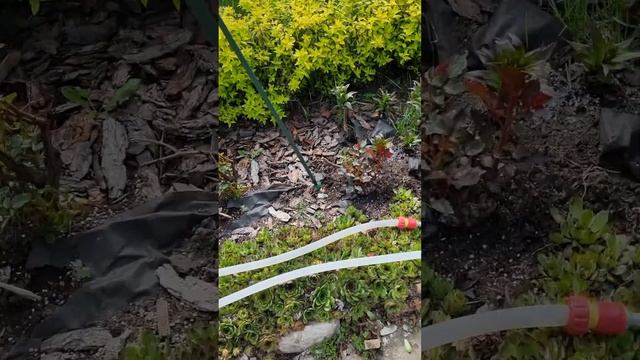 Ремонт отмостки с Ceresit. Часть 1 смотреть онлайн