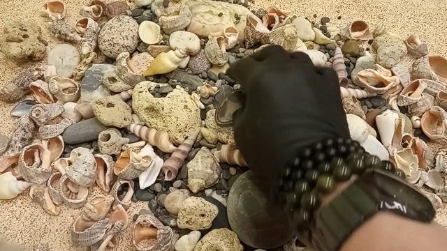 It's time to throw stones and time to collect stones. (Время разбрасывать камни и время собирать). смотреть онлайн