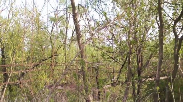 Поездка в Сердобск Пензенской области смотреть онлайн