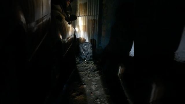 Потеряшка мастино неаполитано на Фрунзе смотреть онлайн