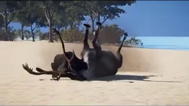 black panther vs all the animals смотреть онлайн