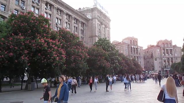 Когда цветут каштаны! Киев, май 2019 #цветут #каштаны #Киев When the #chestnuts #bloom! #Kiev 2019 смотреть онлайн