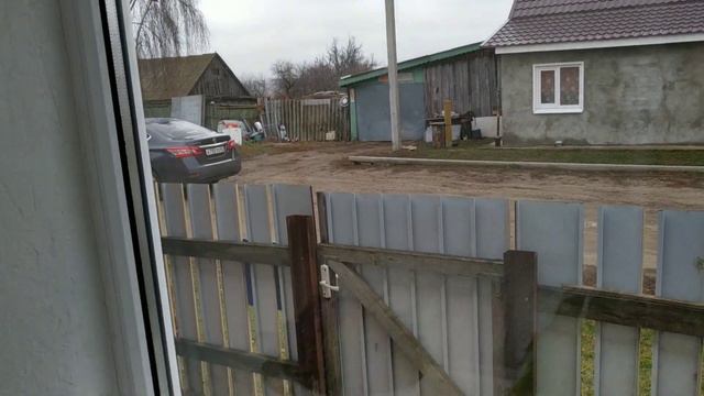 Растения в жизни