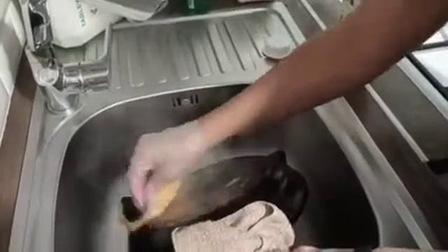 Фада-Антижир отзывы смотреть онлайн