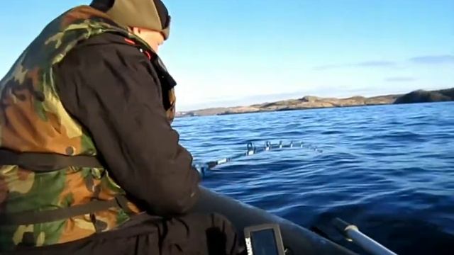 Кольский 2017 июнь. Рыбалка, косатки, треска и прочие морские жители. смотреть онлайн