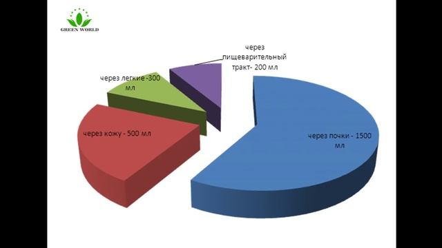 Кондратьева С Роль воды в нашем организме смотреть онлайн