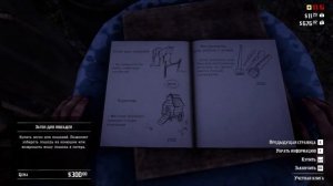 RDR 2. Сумка для тоников #1