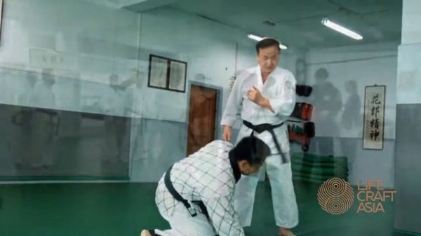 Hapkido Grand Master Kim Nam Jae