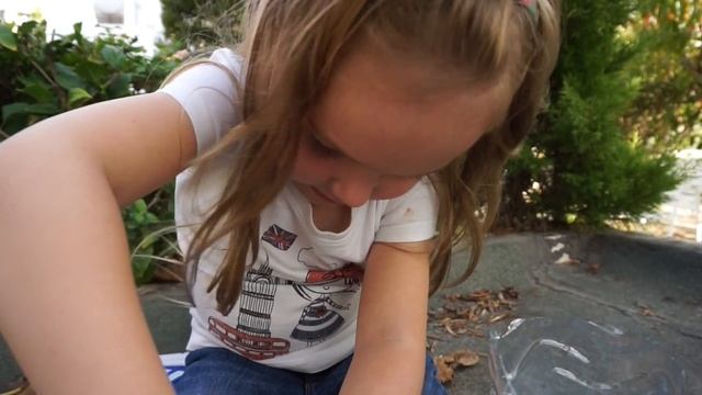 Эксперимент. Плотность соленой и пресной воды.