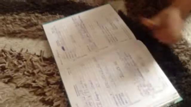 Чувство когда тебе задали много уроков смотреть онлайн