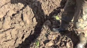 Минитрактор классика своими руками пашет сам двухкорпусным плугом.