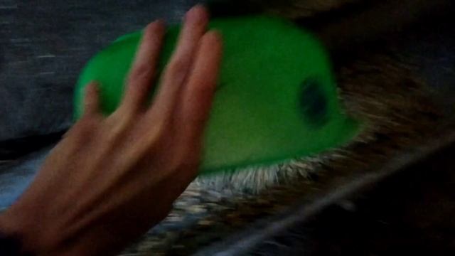 Куры несушки несутся зимой, как с пулемёта/Как увеличить количество яиц зимой смотреть онлайн