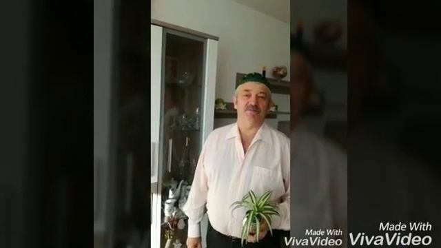 С днём рождения любимый папа 36 лет смотреть онлайн