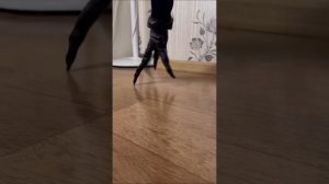 Света и подглядывающий Джо! Все серии! Страшилки от Светы