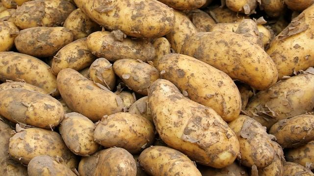 Как вырастить крупный картофель без болезней и вредителей смотреть онлайн