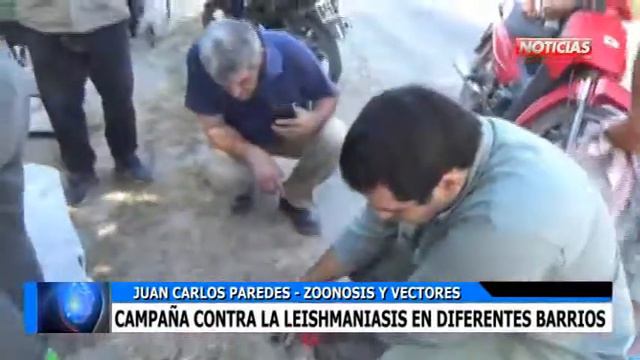 JUAN CARLOS PAREDES CAMPAÑA CONTRA LA LEISHMANIASIS EN DIFERENTES BARRIOS смотреть онлайн