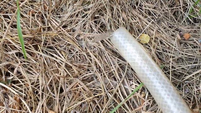 Черешня ИПУТЬ 2020 ч.1 смотреть онлайн