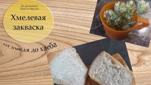Хмелевая закваска. Выведем закваску и испечем хлеб!