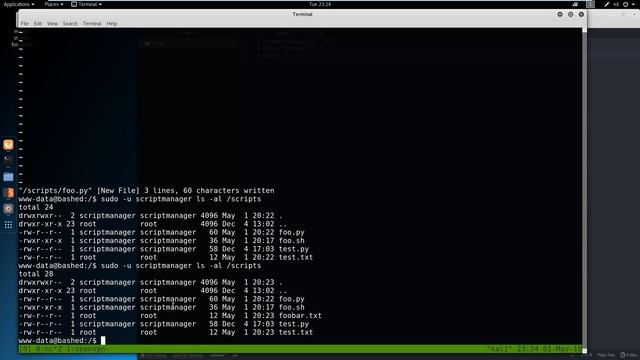 Hack The Box CTF Walkthrough - Bashed смотреть онлайн