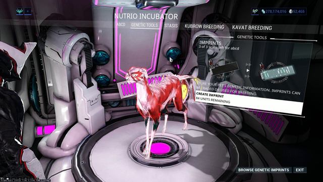 [U26.0] Warframe How to find and build (VASCA KAVAT) [Thai language] I by -Perfect_Ultra_Instinct- смотреть онлайн