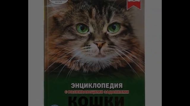 Энциклопедии и словари – лучшие друзья твои смотреть онлайн