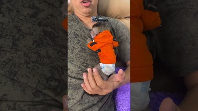 Dad patienly feed beloved Baby Monkey Dino смотреть онлайн