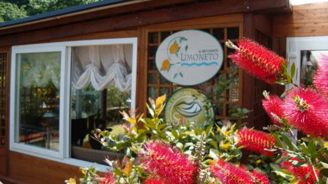 Agave Slide Show.wmv смотреть онлайн