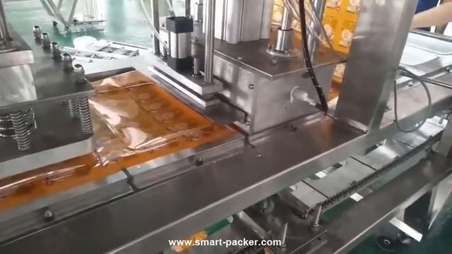 Автоматическая большая большая чашка чаша поднос вакуумная уплотнительная машина Одноразовый большо смотреть онлайн