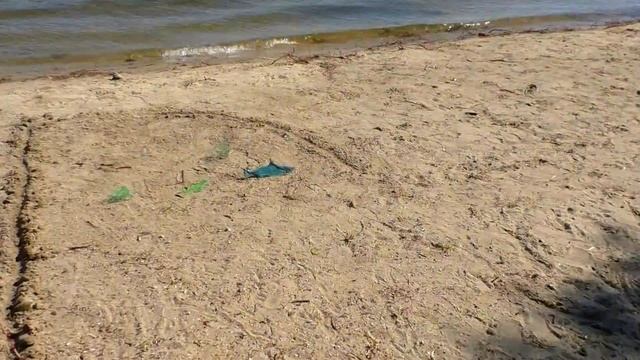 Супер рыбалка- на магнит , и даже поймали акулу!!! смотреть онлайн