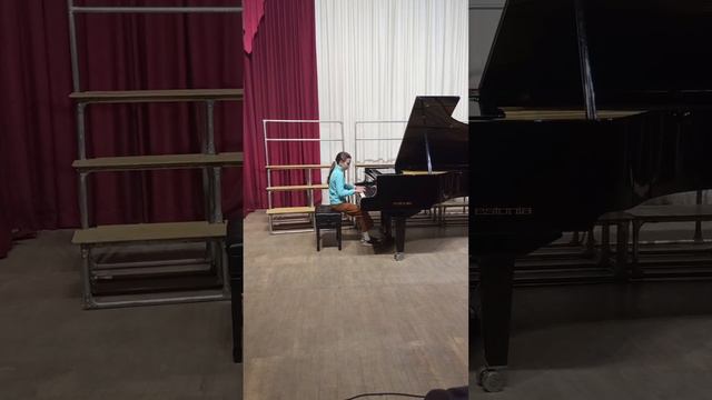 плейель. сонатина ре мажор.Гаранчук Арина. смотреть онлайн