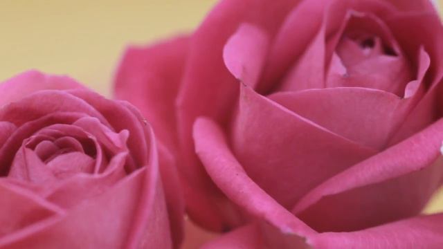 Zuii Certified Organic Lip & Cheek Creme смотреть онлайн