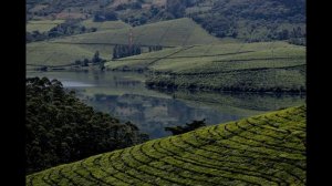 Хараре  История (Зимбабве)