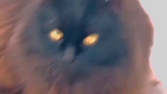 ❄Лепим снеговика часть 2 ❄ смотреть онлайн
