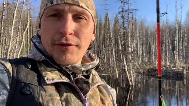 Первая рыбалка после зимы на таёжной речке!!! смотреть онлайн