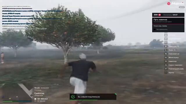 ПУТЬ БОМЖА на MAJESTIC RP ❖ СКОЛЬКО МОЖНО ЗАРАБОТАТЬ НА ФЕРМЕ ЗА ЧАС НОВИЧКУ ❖ GTA 5 RP RAGE MP смотреть онлайн