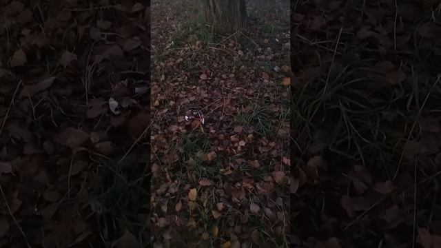 @aktiv9087 канал друга смотреть онлайн