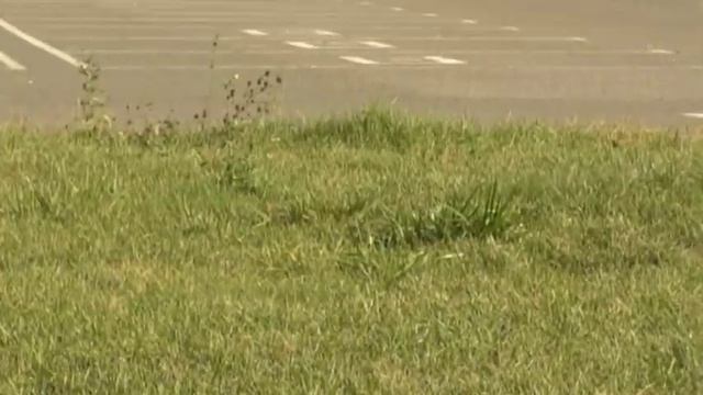 Осенний вальс. смотреть онлайн