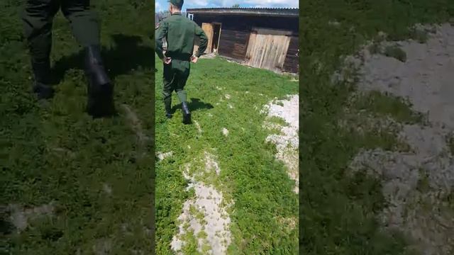 солдат приехал к бабушке, спустя 1 год , #дмб смотреть онлайн