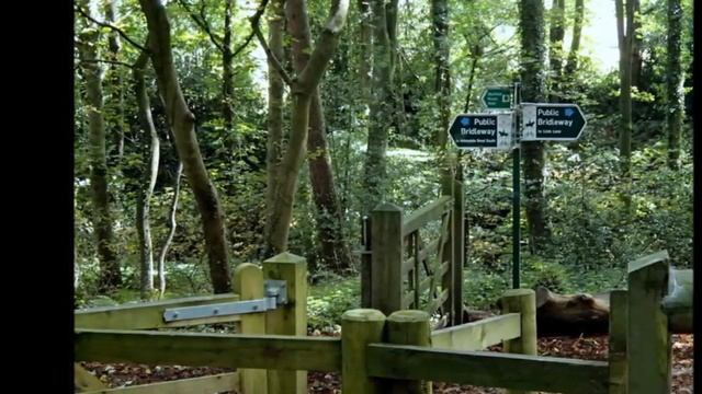 Haunting History of Ecclesall Woods, Dore, Sheffield, South Yorkshire,Sheffield,England смотреть онлайн