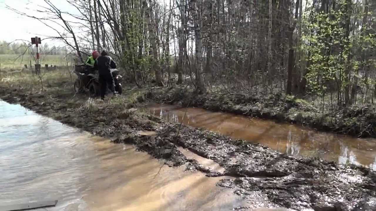 Застрял Rhino.