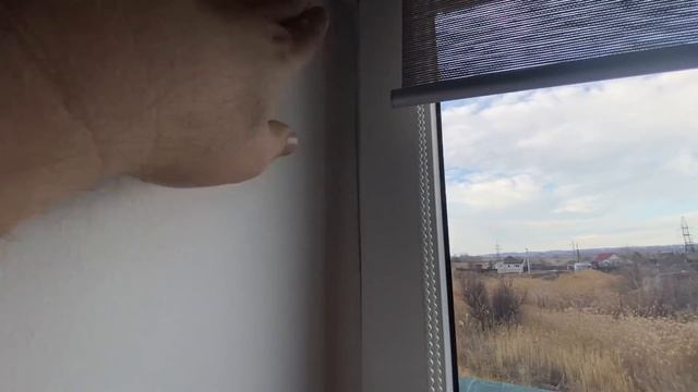 СВИСТИТ ОКНО и МИТЯ беспокоится // ЗАДЕРЖКИ с ВИДЕО смотреть онлайн