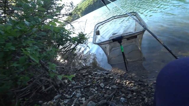 Рыбалка в Крыму.Изобильненское Водохр.(ПОКА ЛОВИМ ПЛОТВУ, ТОЛСТОЛОБ ПЛАВАЕТ БУКВАЛЬНО ПОД НОГАМИ) смотреть онлайн
