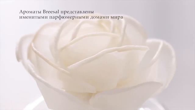 Ароматы для дома Breesal как произведение искусства смотреть онлайн