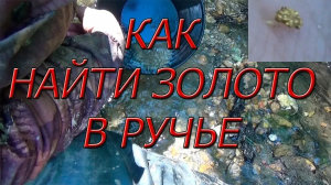 Как найти золото в ручье!#3 Возле золотой жилы!