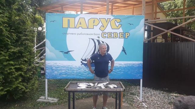 Стабильный улов в Парус север. смотреть онлайн