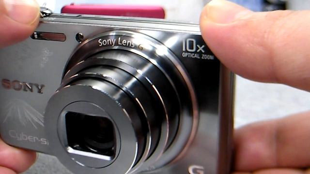 DSC WX100